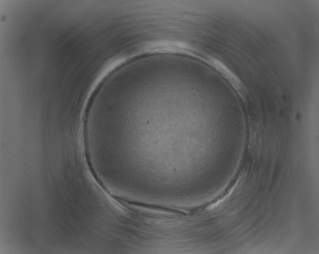 X0000051241384200506241510