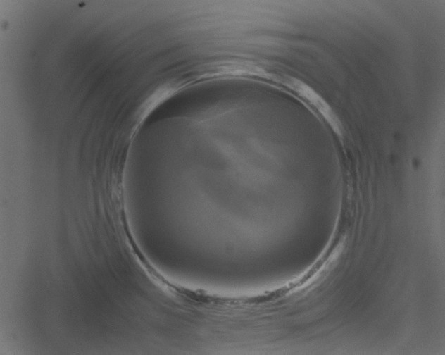 X0000051241385200506241510