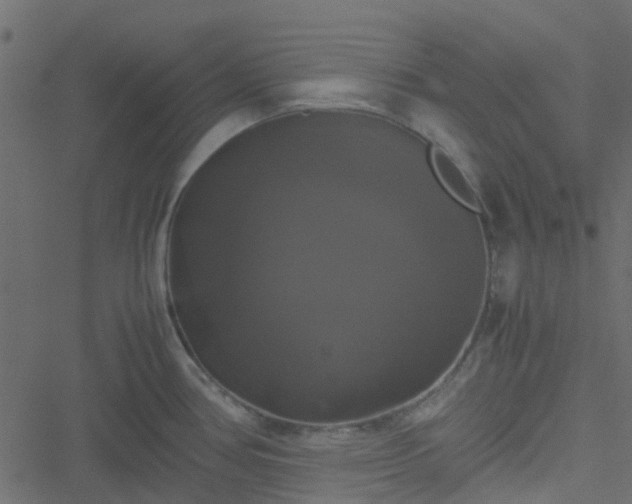 X0000051241386200506241510