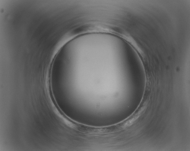 X0000051241387200506241510