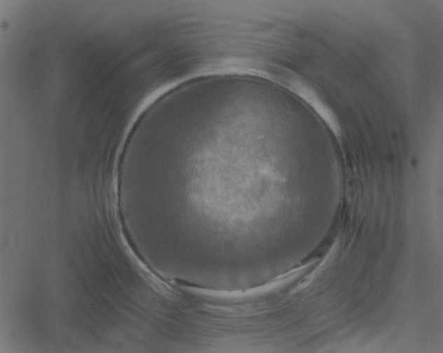 X0000051241388200506241510