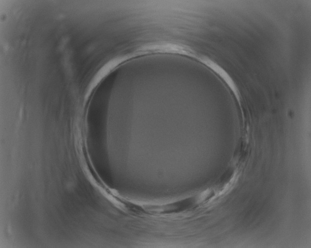 X0000051241389200506241510