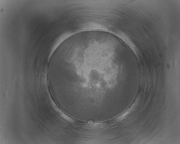 X0000051241390200506241510