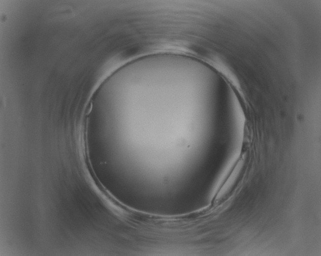 X0000051241391200506241510