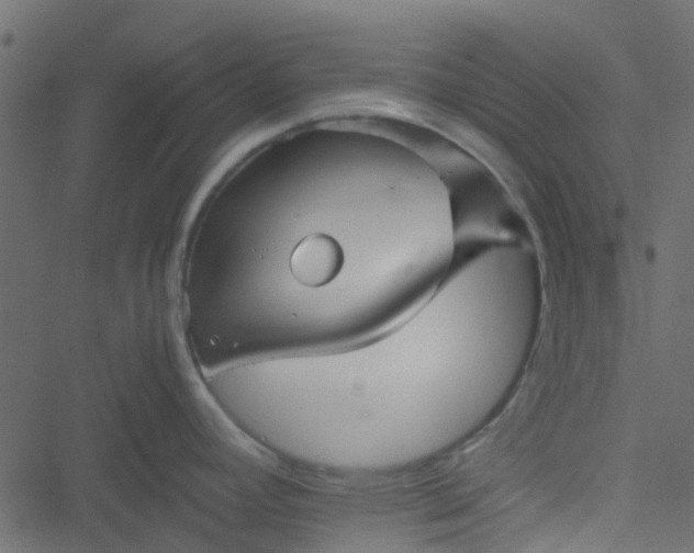 X0000051241392200506241510