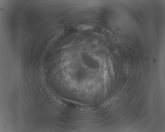 X0000051241393200506241509