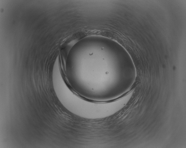 X0000051241394200506241509