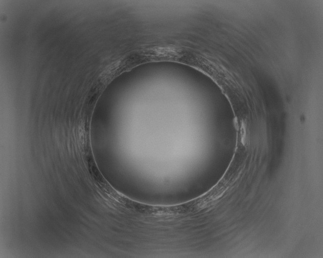 X0000051241395200506241509