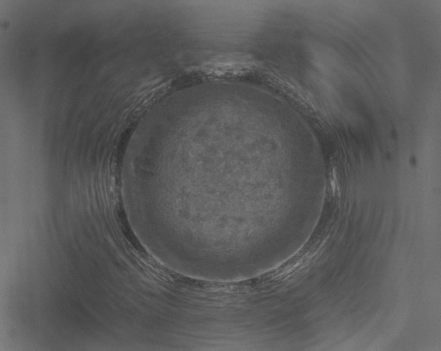 X0000051241396200506241509