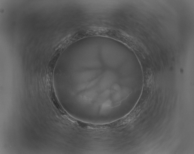 X0000051241397200506241509