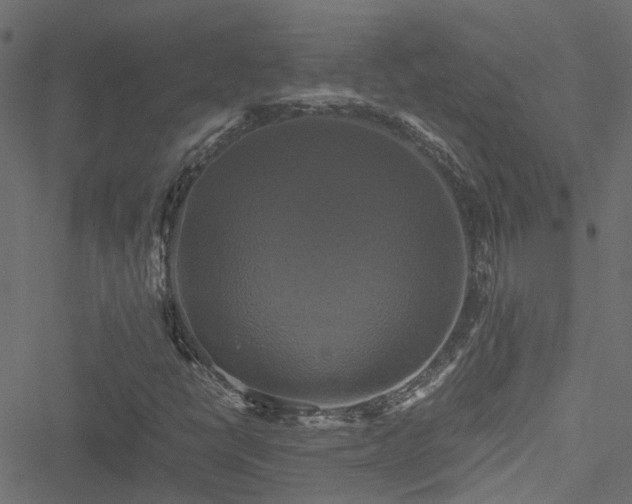 X0000051241398200506241509