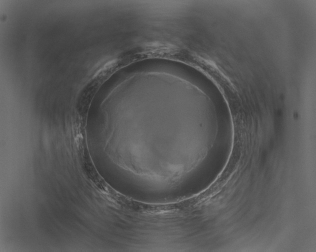 X0000051241399200506241509