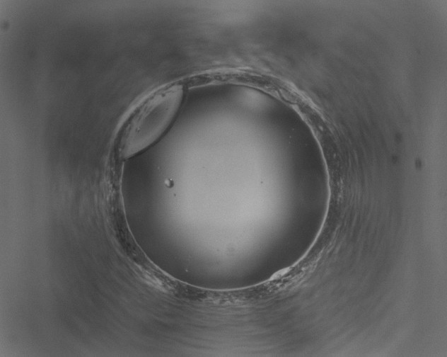 X0000051241400200506241509