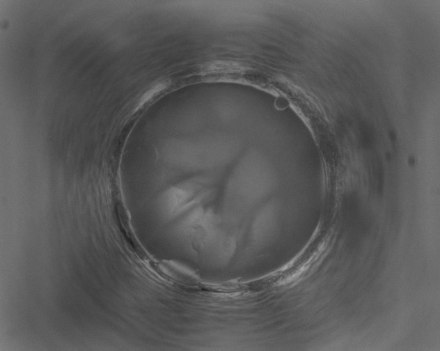 X0000051241401200506241509