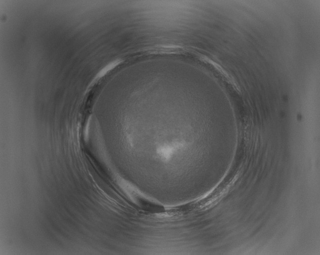 X0000051241402200506241510