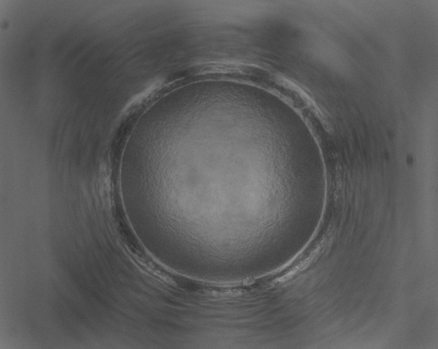 X0000051241403200506241510