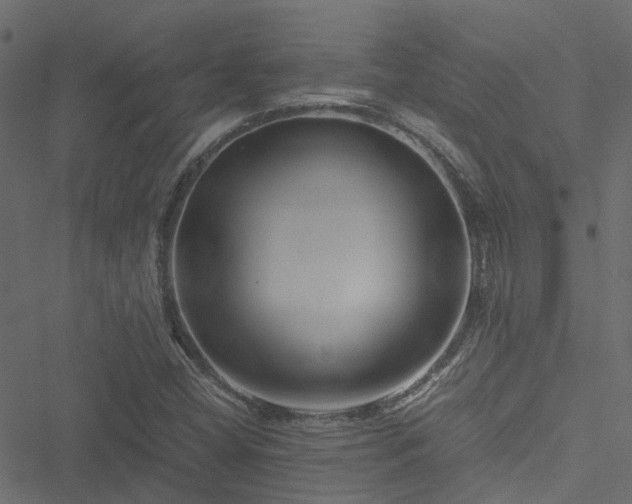 X0000051241404200506241510