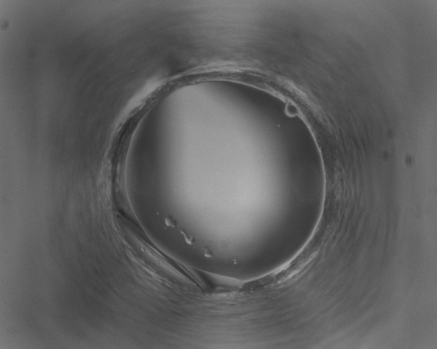 X0000051241406200506241510