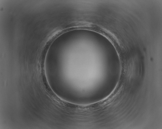 X0000051241407200506241510