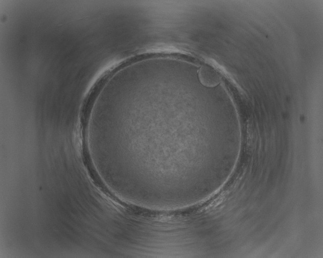 X0000051241408200506241510