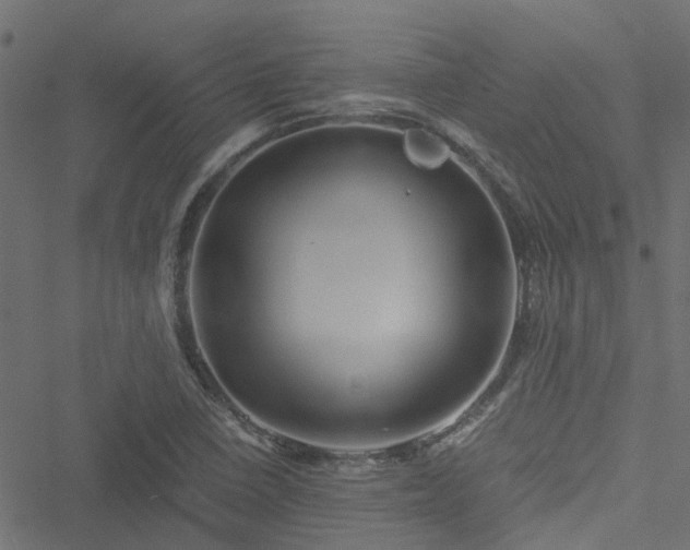 X0000051241410200506241510