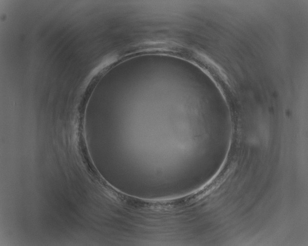 X0000051241411200506241510