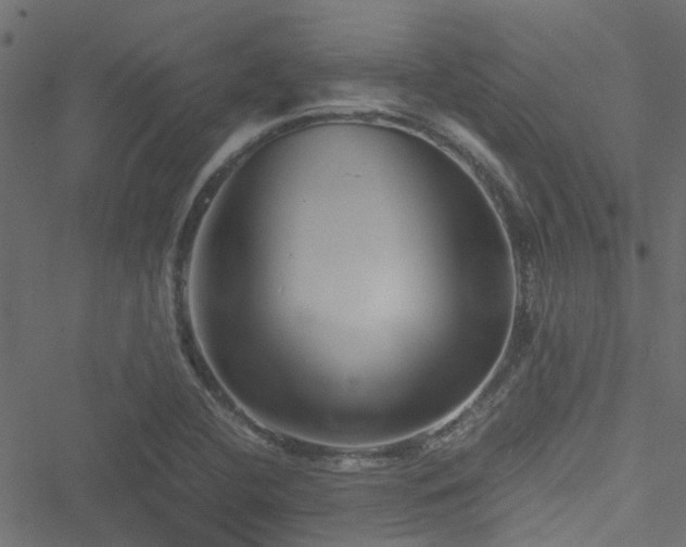 X0000051241412200506241510