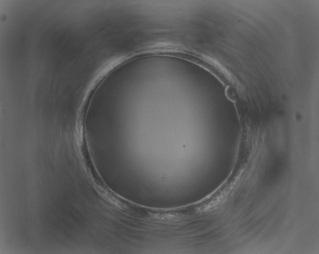 X0000051241413200506241510