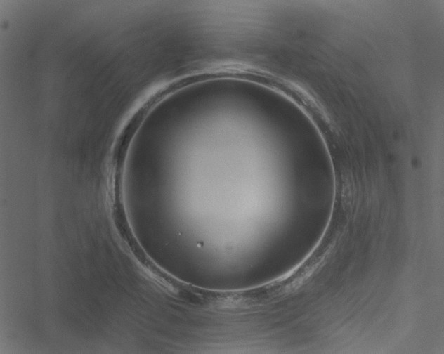 X0000051241414200506241510