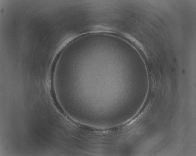 X0000051241415200506241510