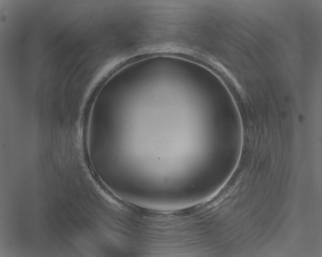 X0000051241416200506241510