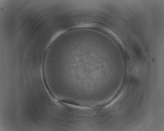 X0000051241417200506241510