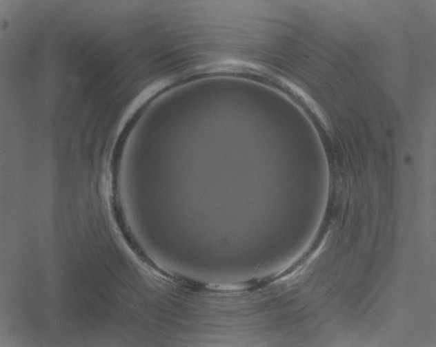 X0000051241418200506241510