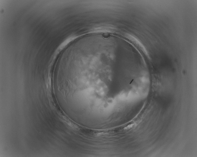 X0000051241419200506241510