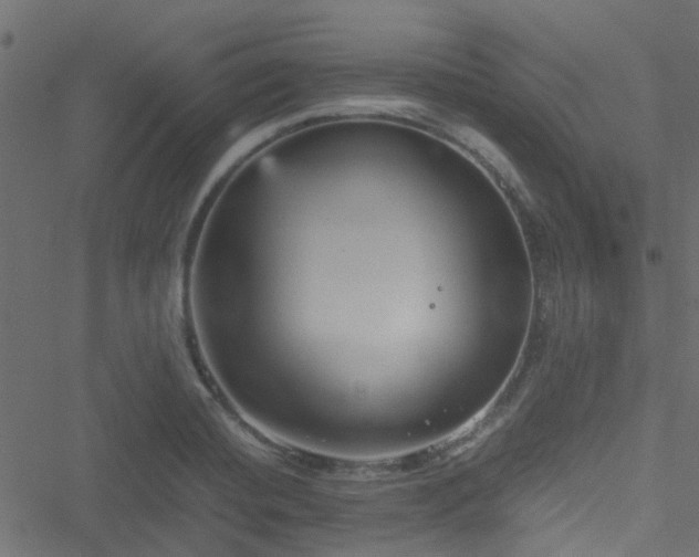 X0000051241420200506241510