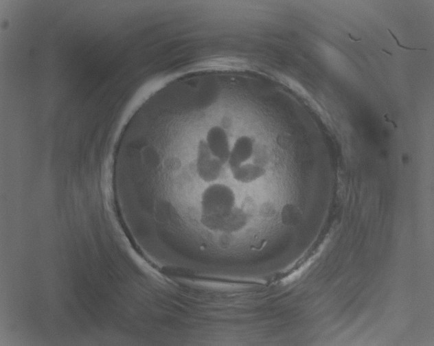 X0000051241421200506241510