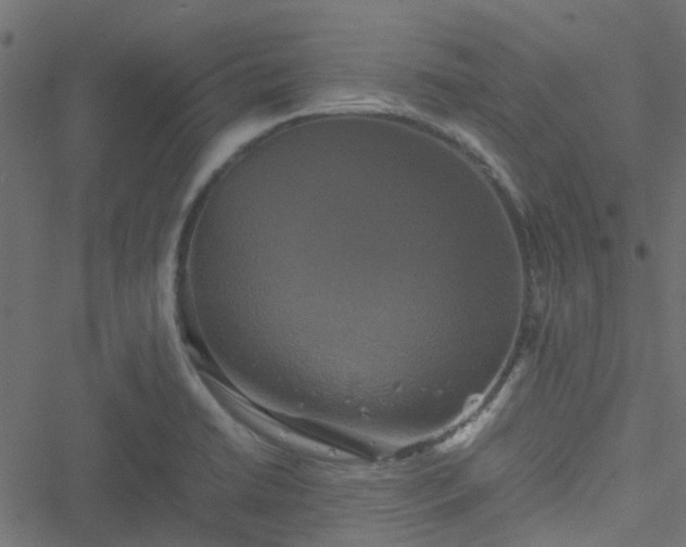 X0000051241422200506241510