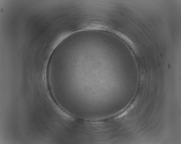 X0000051241423200506241510