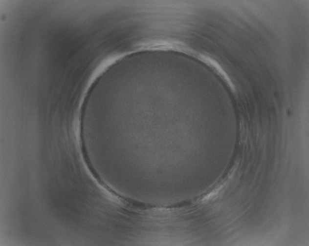 X0000051241424200506241510