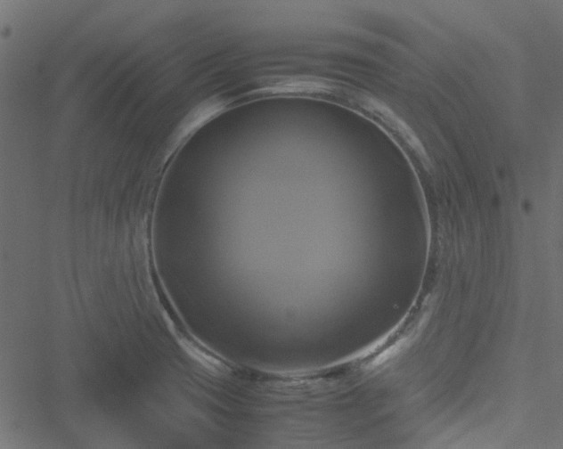 X0000051241425200506241510