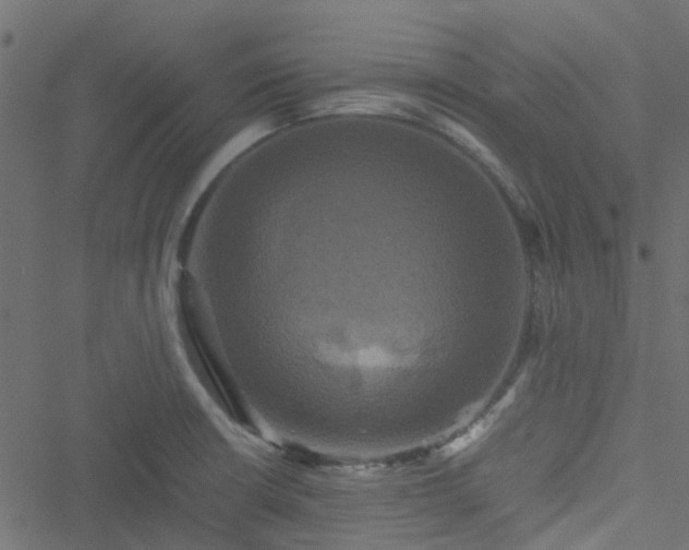 X0000051241426200506241510