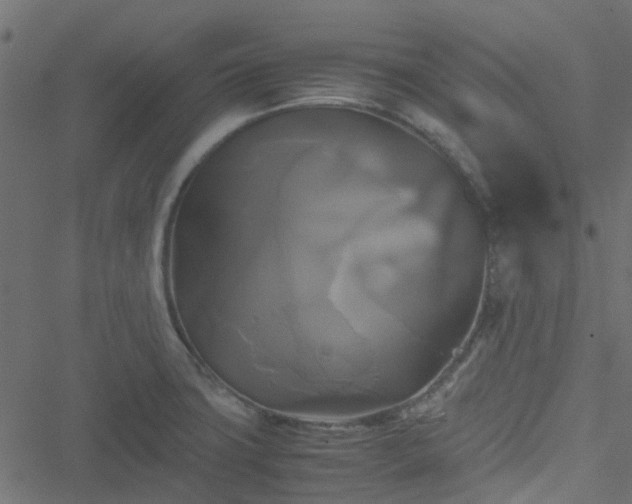 X0000051241427200506241510