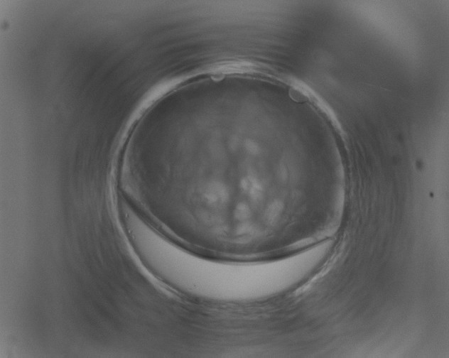 X0000051241429200506241510