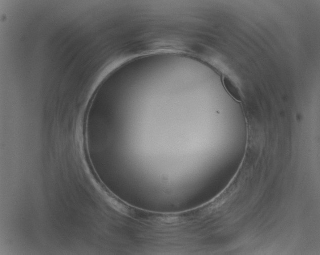 X0000051241431200506241510