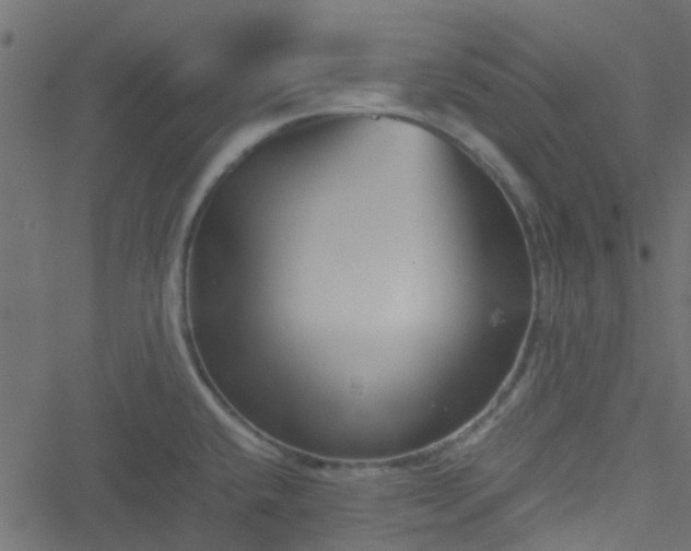 X0000051241432200506241510