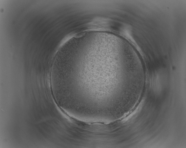 X0000051241433200506241510