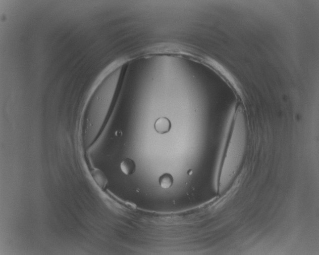 X0000051241434200506241510