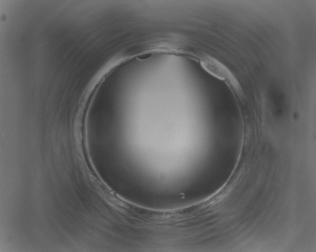 X0000051241435200506241510