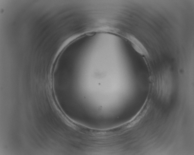 X0000051241436200506241510