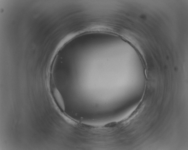 X0000051241437200506241510